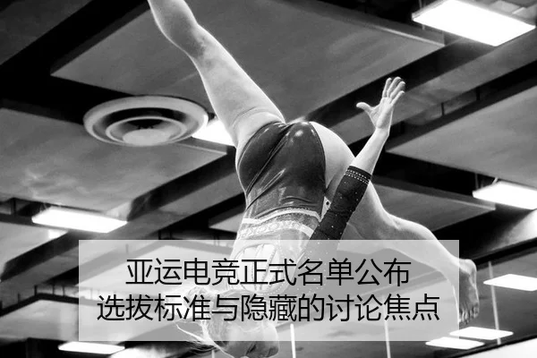 ya-yun-dian-jing-zheng-shi-ming-dan-gong-bu-xuan-ba-biao-zhun-yu-yin-cang-de-tao-lun-jiao-dian-2-534.jpg