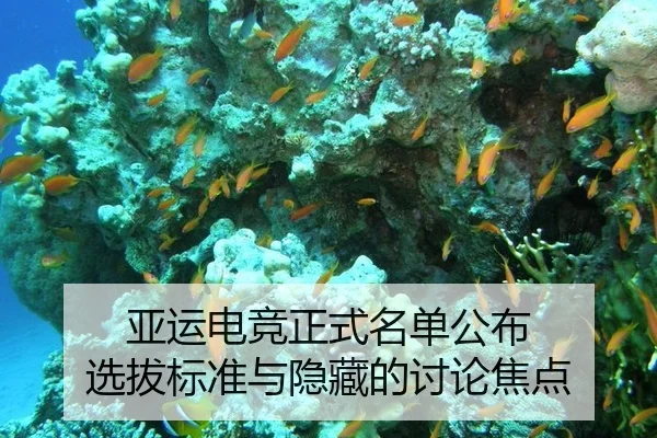 亚运电竞正式名单公布 选拔标准与隐藏的讨论焦点